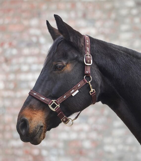 Недоуздок Horsemotif