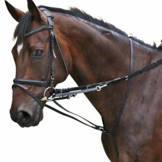 Мартингал Тидемана