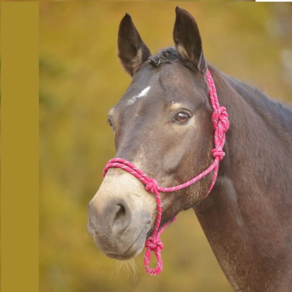 Недоуздок веревочный