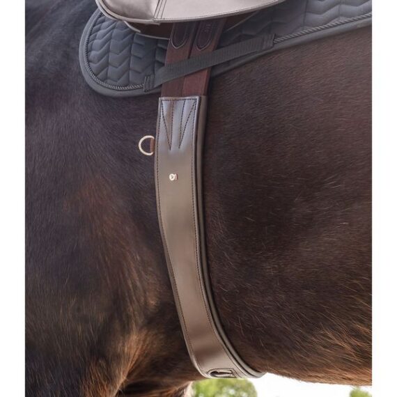 Подпруга Waldhausen