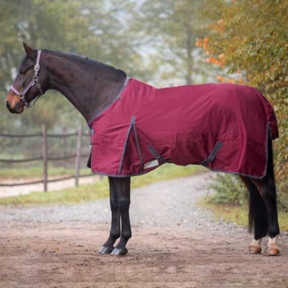 Попона Economic