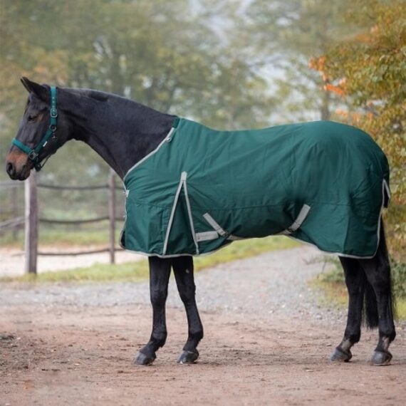 Попона Economic