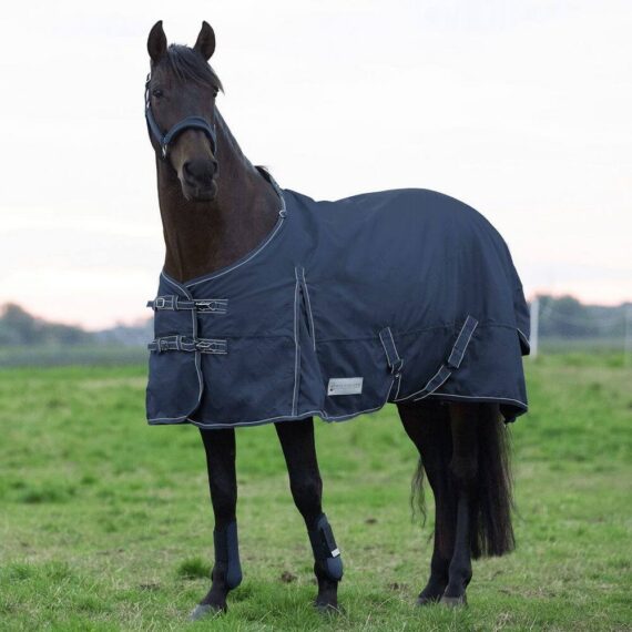 Попона Economic