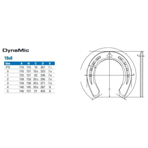 Dynamic