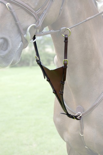 Мартингал Schockemöhle