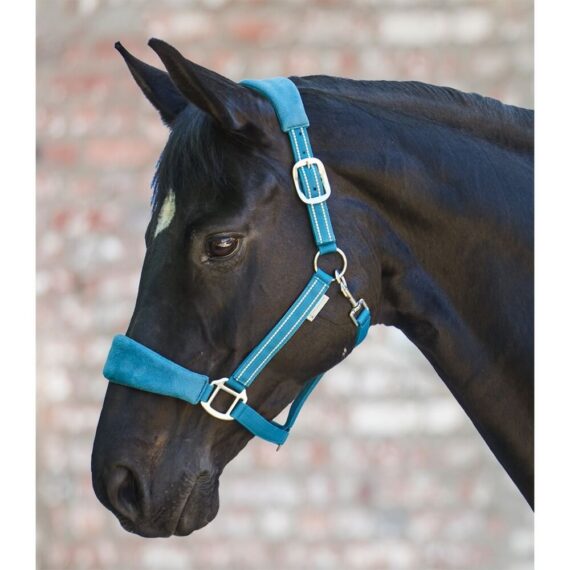 Недоуздок Alcantara