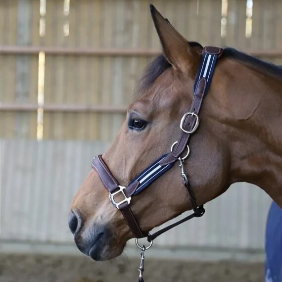 Недоуздок Stressless Antares