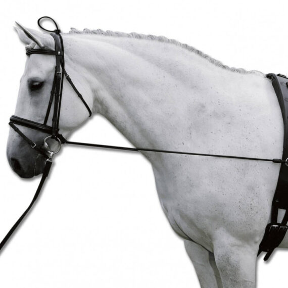 Шамбон-резинка Waldhausen