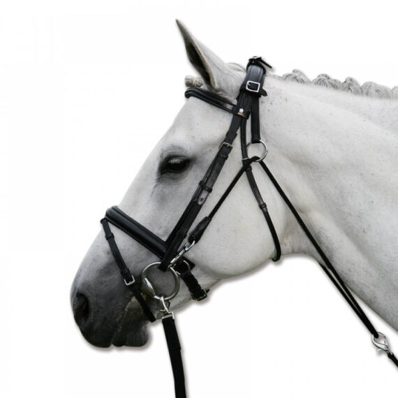 Шамбон Waldhausen