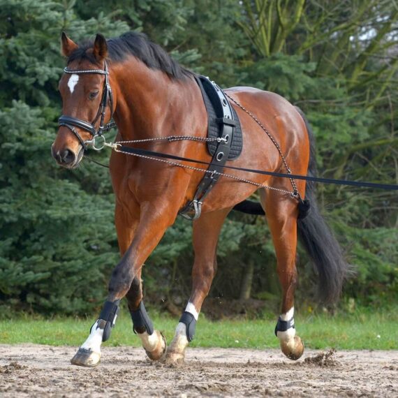 Шлея пессоа Waldhausen