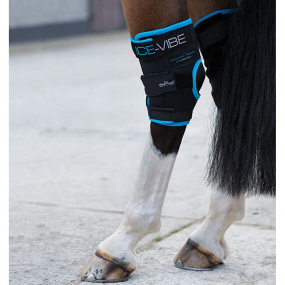Ногавки Ice-Vibe Horseware