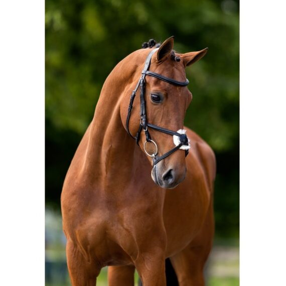 Уздечка Grantham BR