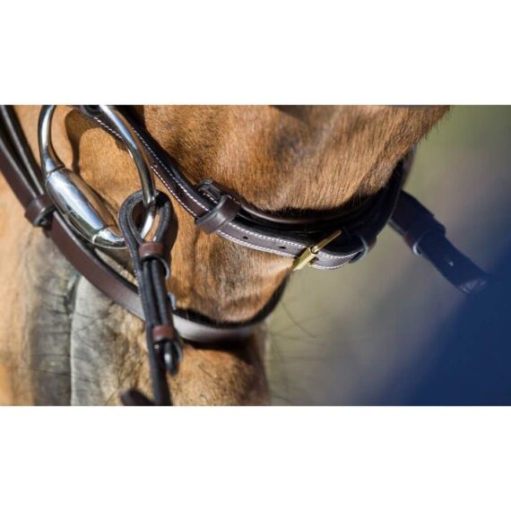 Уздечка Elegant HFI