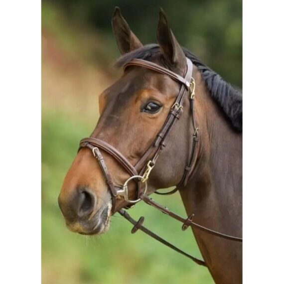 Уздечка Functional HFI