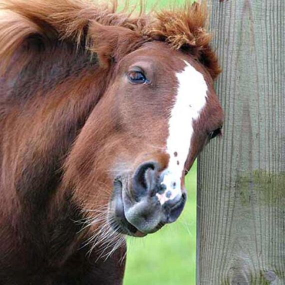 Эмульсия Killitch Carr&Day&Martin