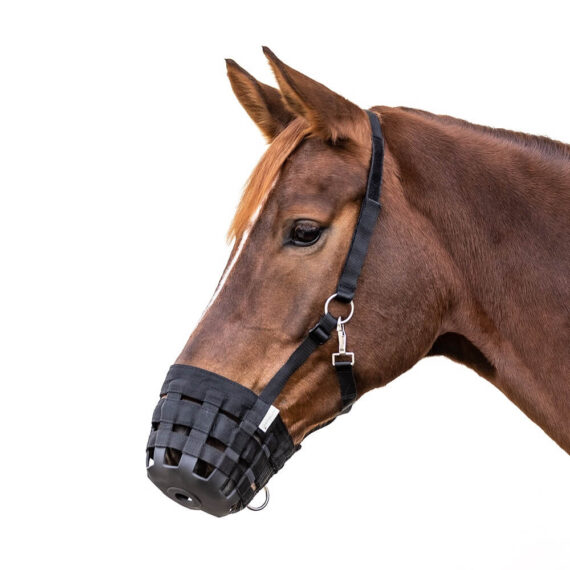 Намордник для лошади Waldhausen