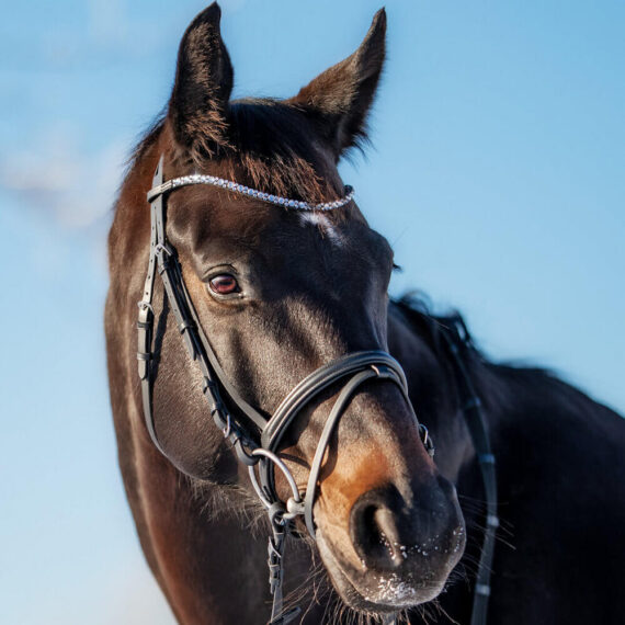 Уздечка Belle USG