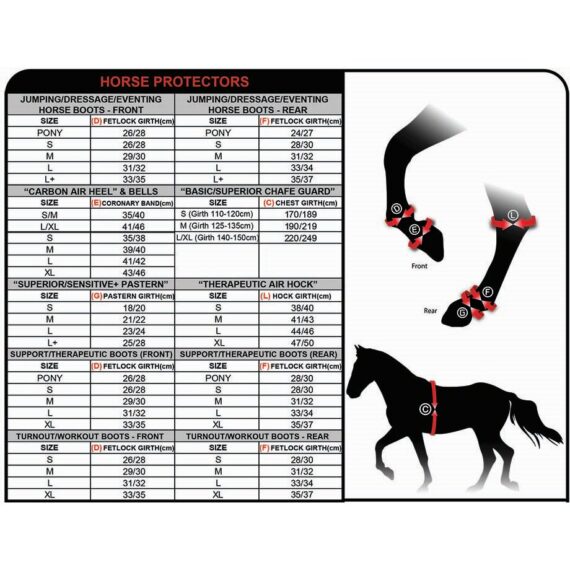 Zandona размеры