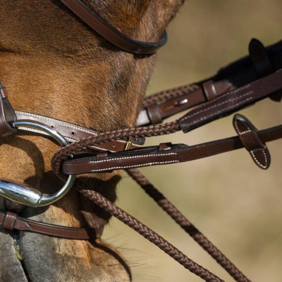 Шпрунт Allemandes HFI