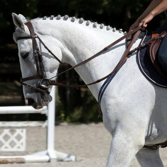 Повод Precision Antares