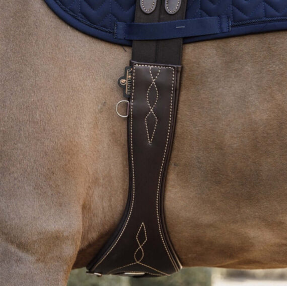 Подпруга Kentucky