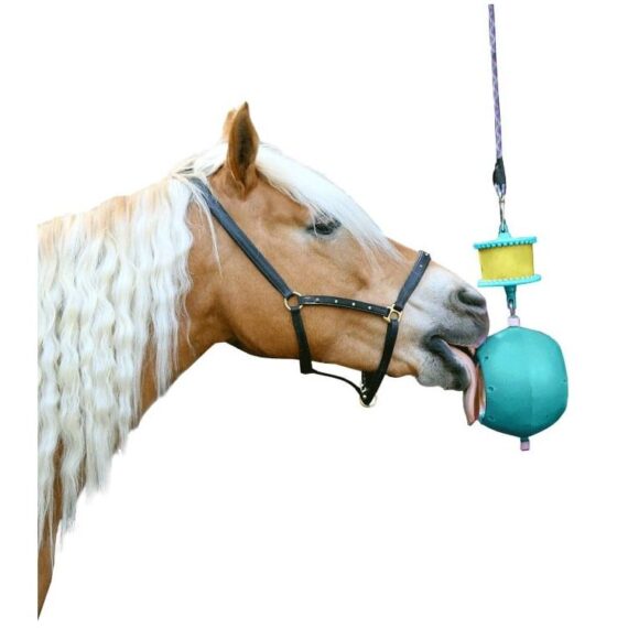 Держатель Likit