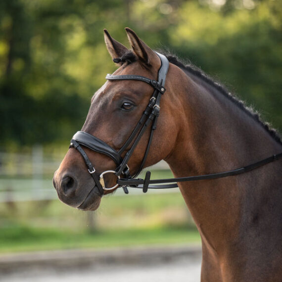 Уздечка Ira HKM