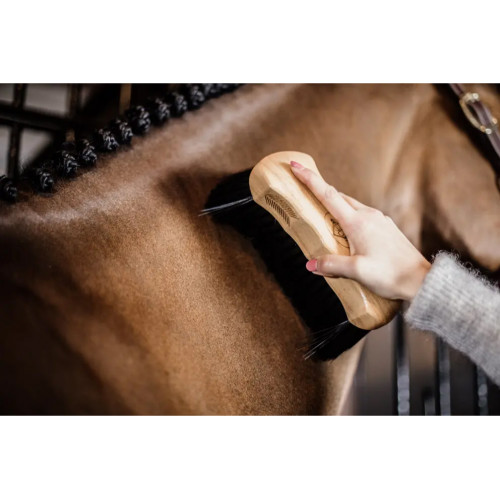 Middle Hard Kentucky