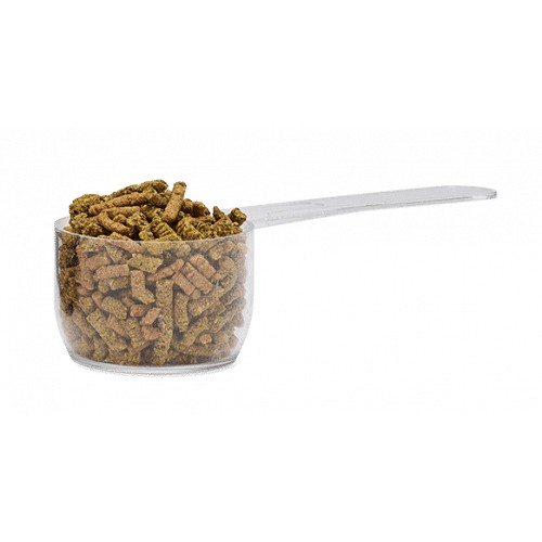 Bonutron Yearling Audevard