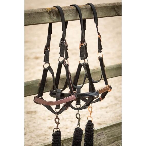 Metallic II Harry's Horse