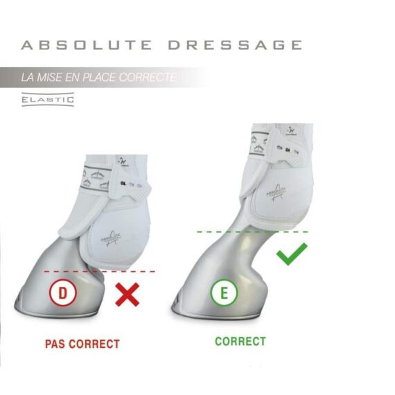 Absolute Elastic Veredus