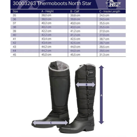 North Star Harry's Horse