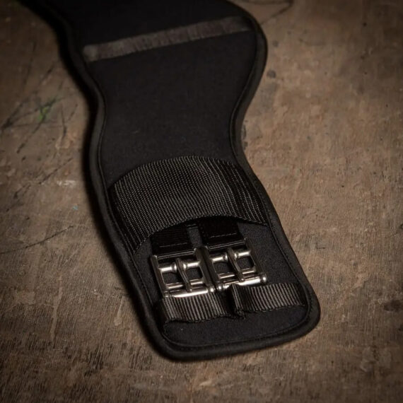 FreeFit Harry's Horse