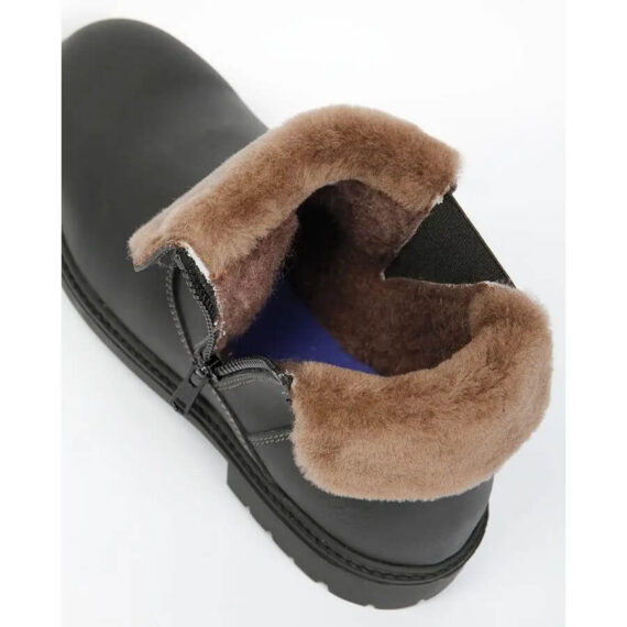 Narvik Harry's Horse