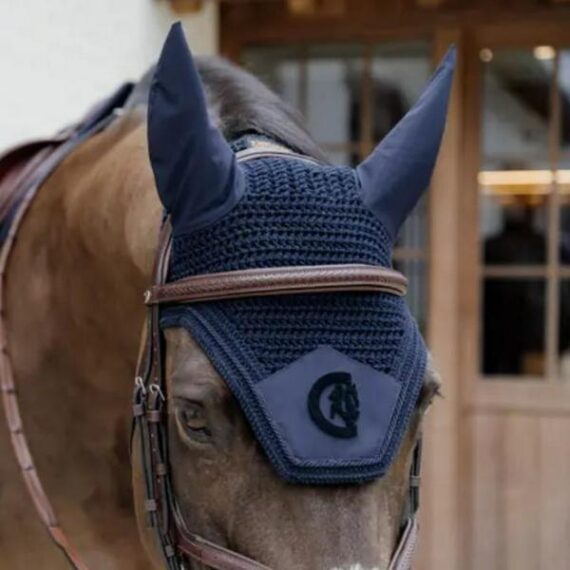 Wellington 3D Logo Kentucky