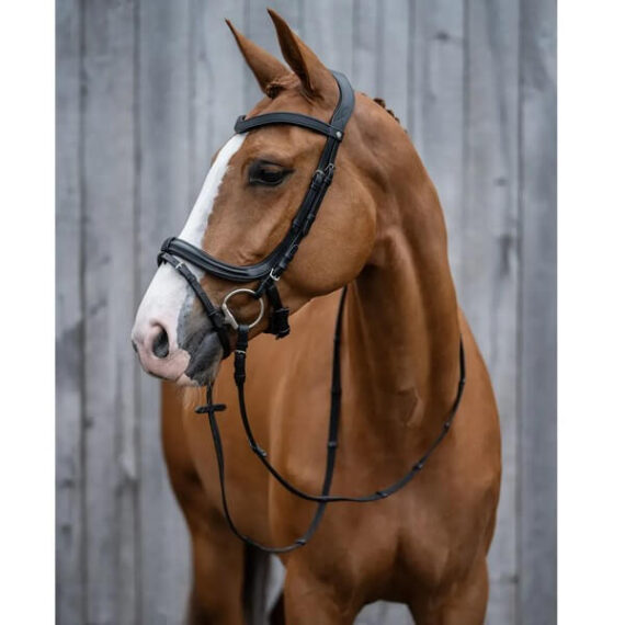 Уздечка Anatomic НКМ