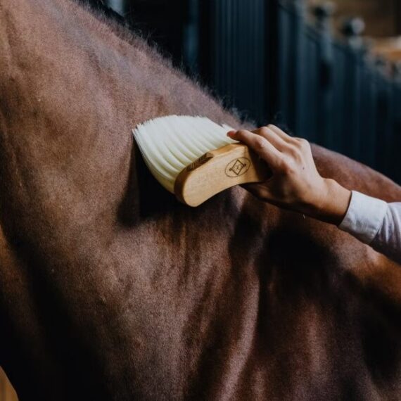 Щетка Middle Brush Kentucky