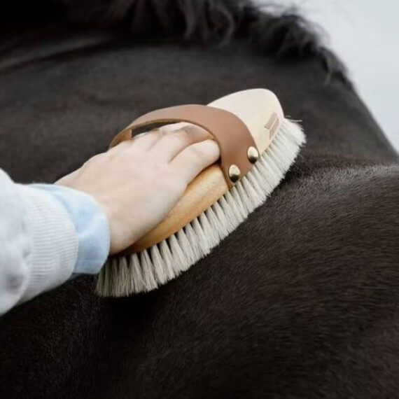 Щетка Overall Shine Kentucky