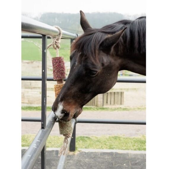 Игрушка Wooden Relax