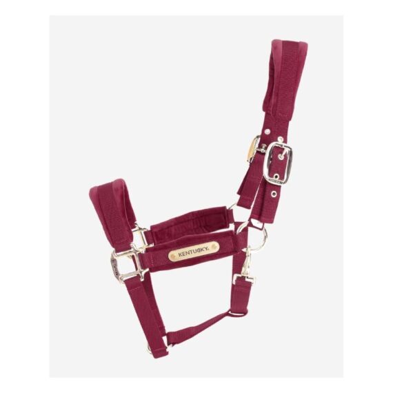 Недоуздок Velvet Kentucky