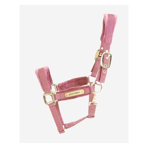 Недоуздок Velvet Kentucky