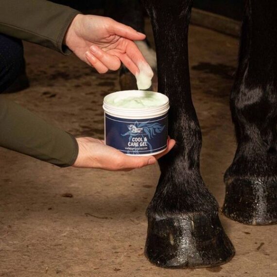 гель Harry's Horse