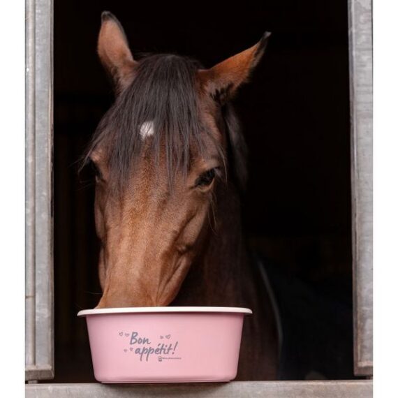 Миска Waldhausen