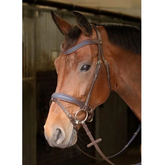 Уздечка Harry's Horse