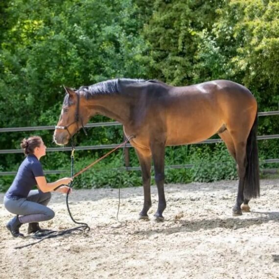 Хлыст Contact Stick