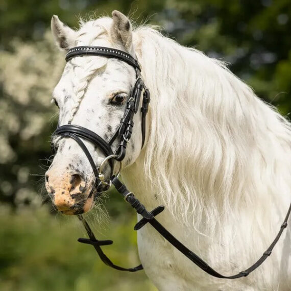 Уздечка Beli QHP