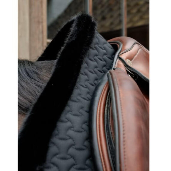 Вальтрап Kentucky