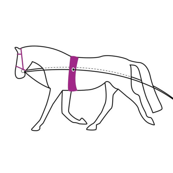 Корда двойная QHP