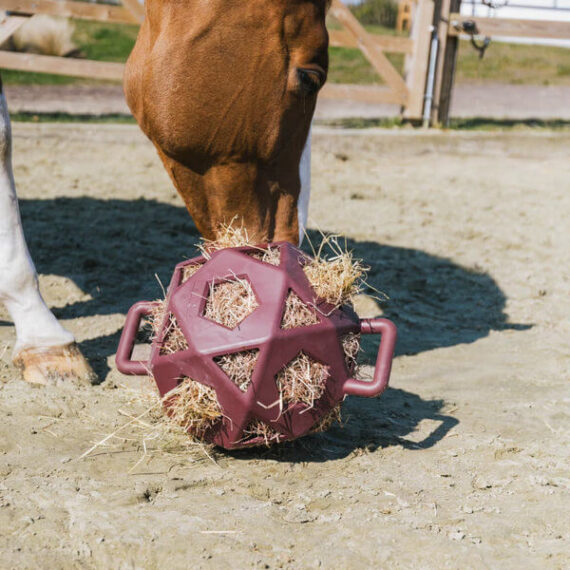 Игрушка мяч Kentucky