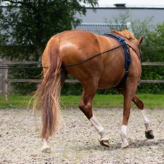 Корда двойная QHP